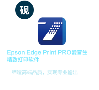 EPSON_lfp-autogiclee-solution_microjet