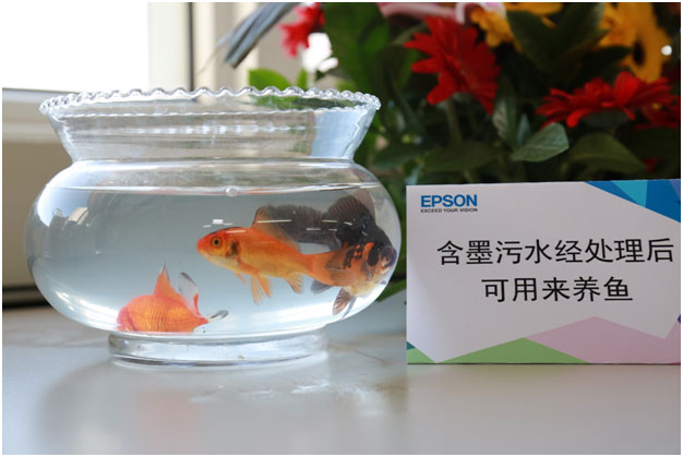 EPSON_STORY