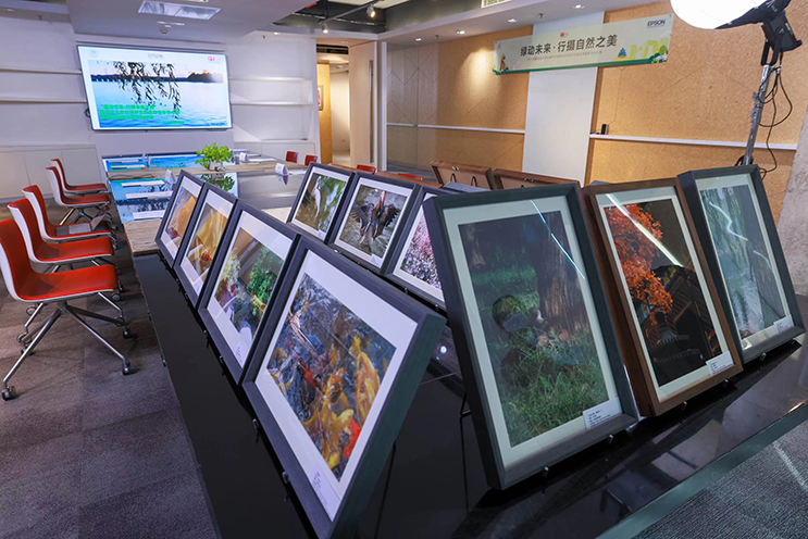 EPSON_STORY